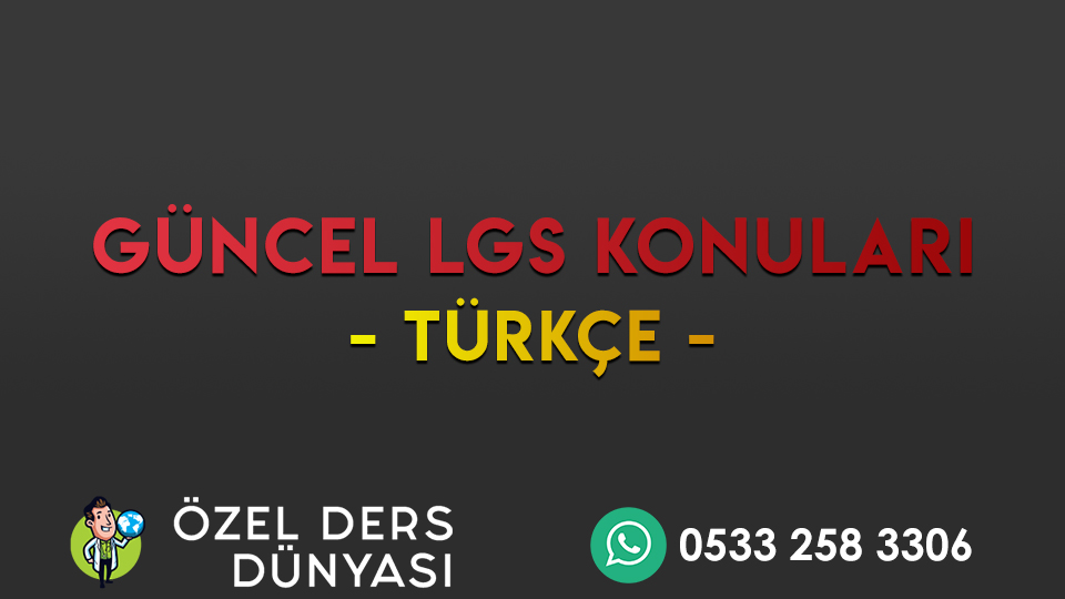 lgs turkce