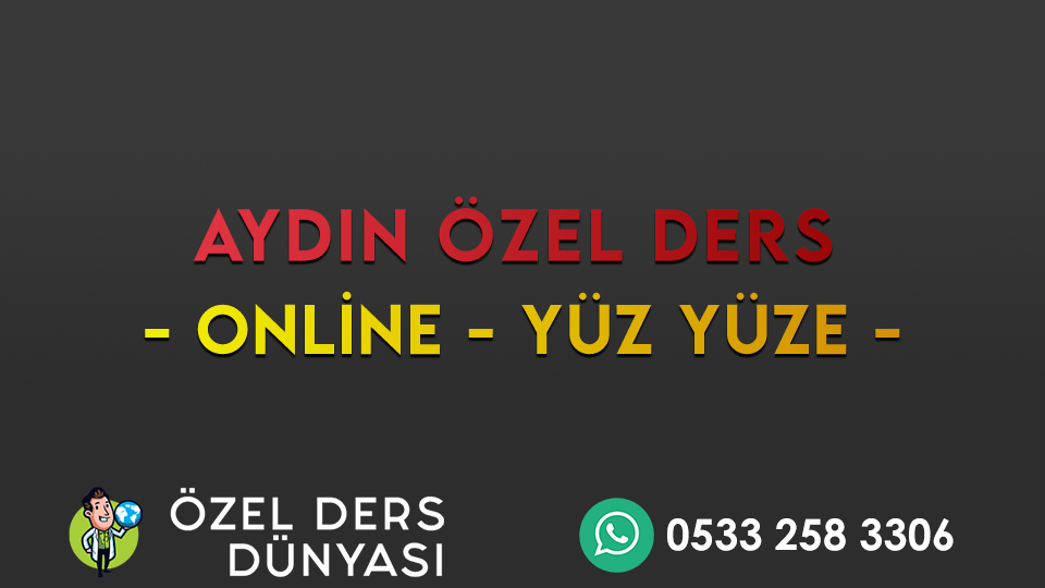 aydın özel ders