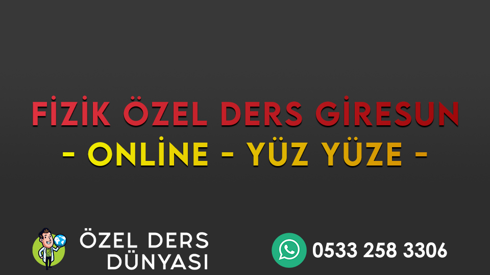 fizik özel ders giresun
